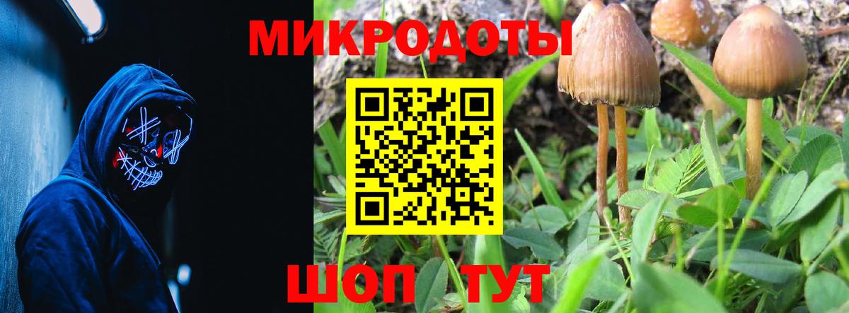 Псилоцибиновые грибы Cubensis  Псилоцибиновые грибы мухоморы  цена наркотик  Семёнов  Вход с VPN 