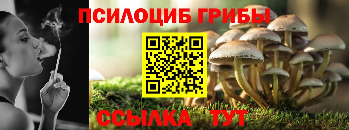 Галлюциногенные грибы ЛСД Семёнов